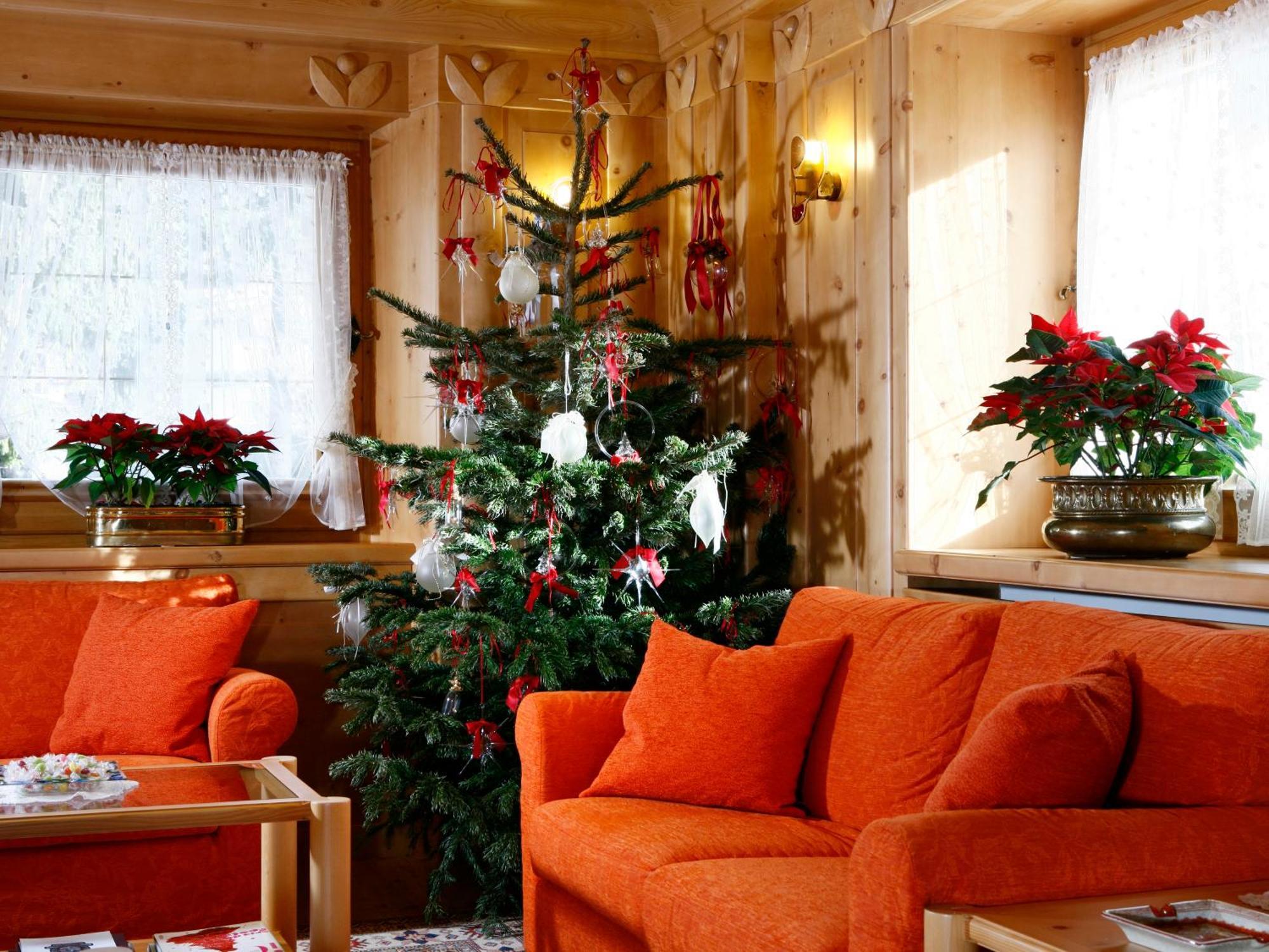 Hotel Natale Cortina d'Ampezzo Ngoại thất bức ảnh